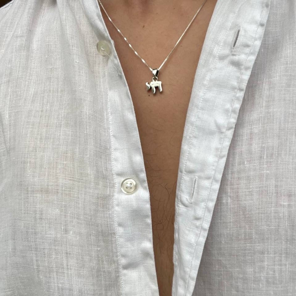 שרשרת חי כסף