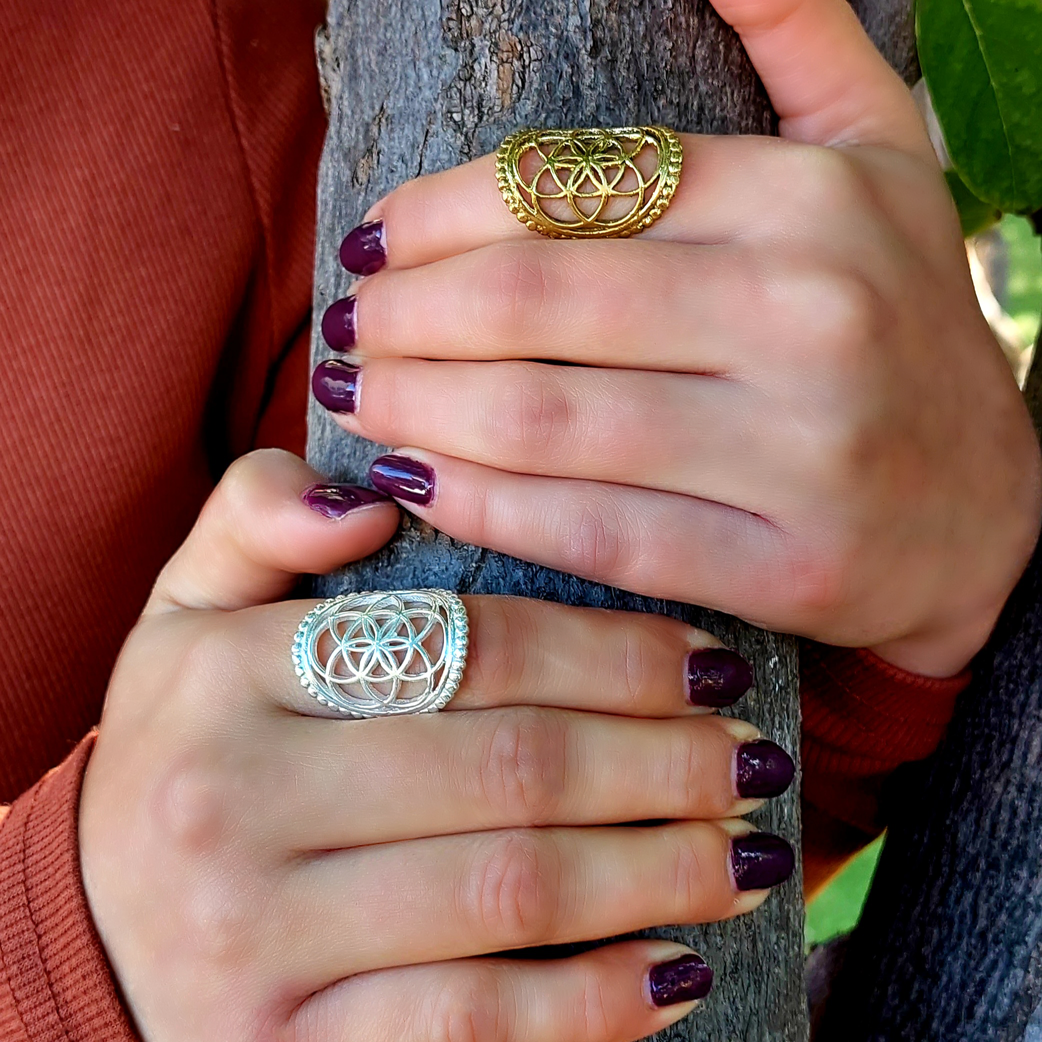 טבעת זרע החיים