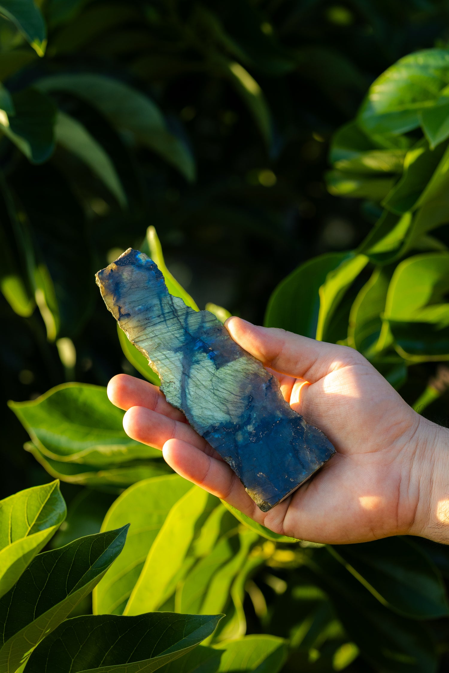 קריסטל לברדורייט גדול