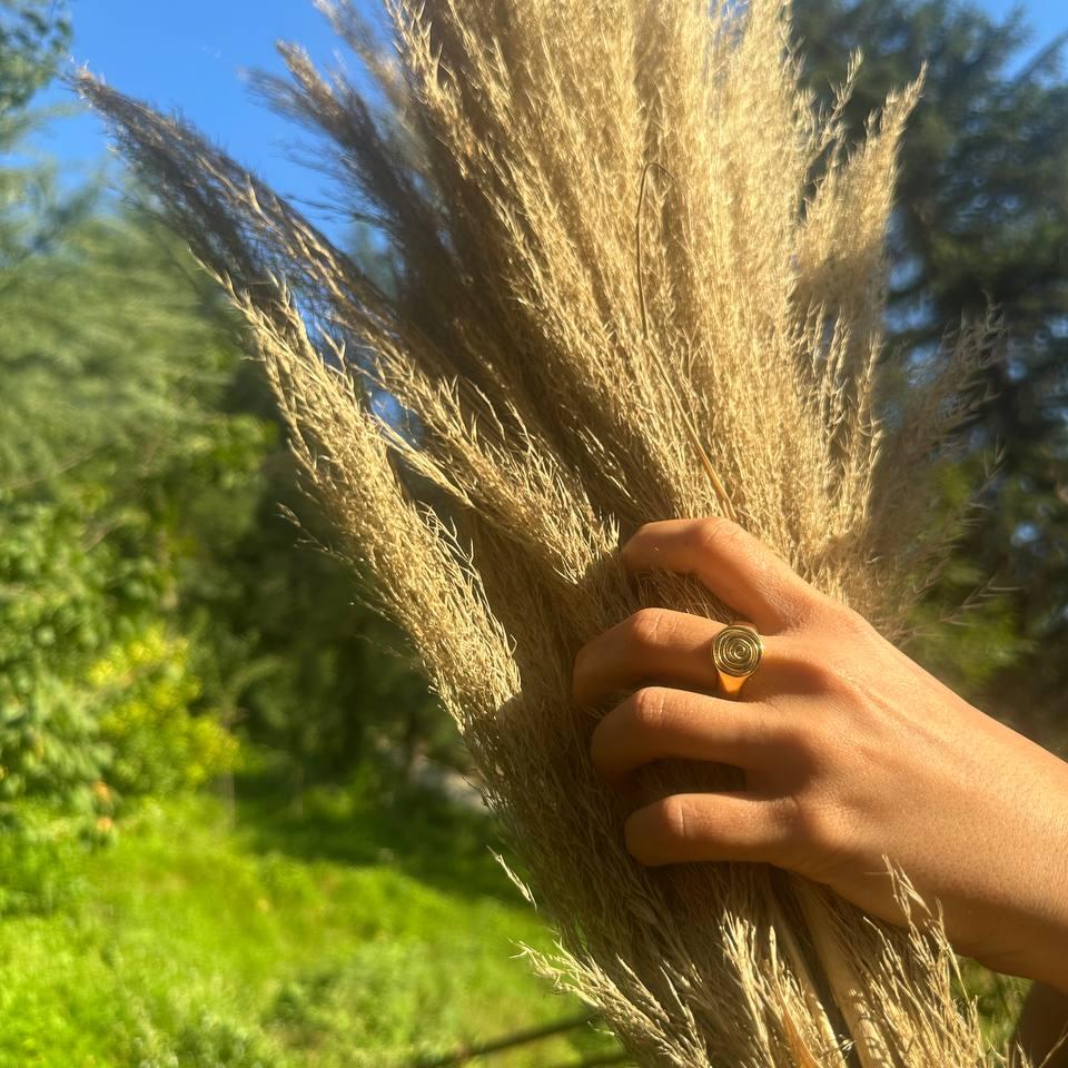 טבעת חותם ספיראלה