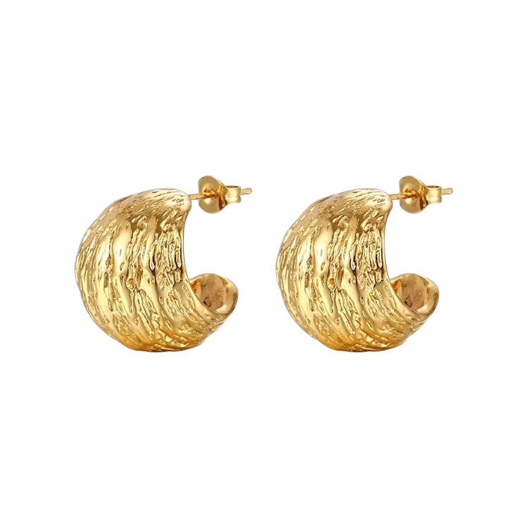 עגילי חישוק DIA