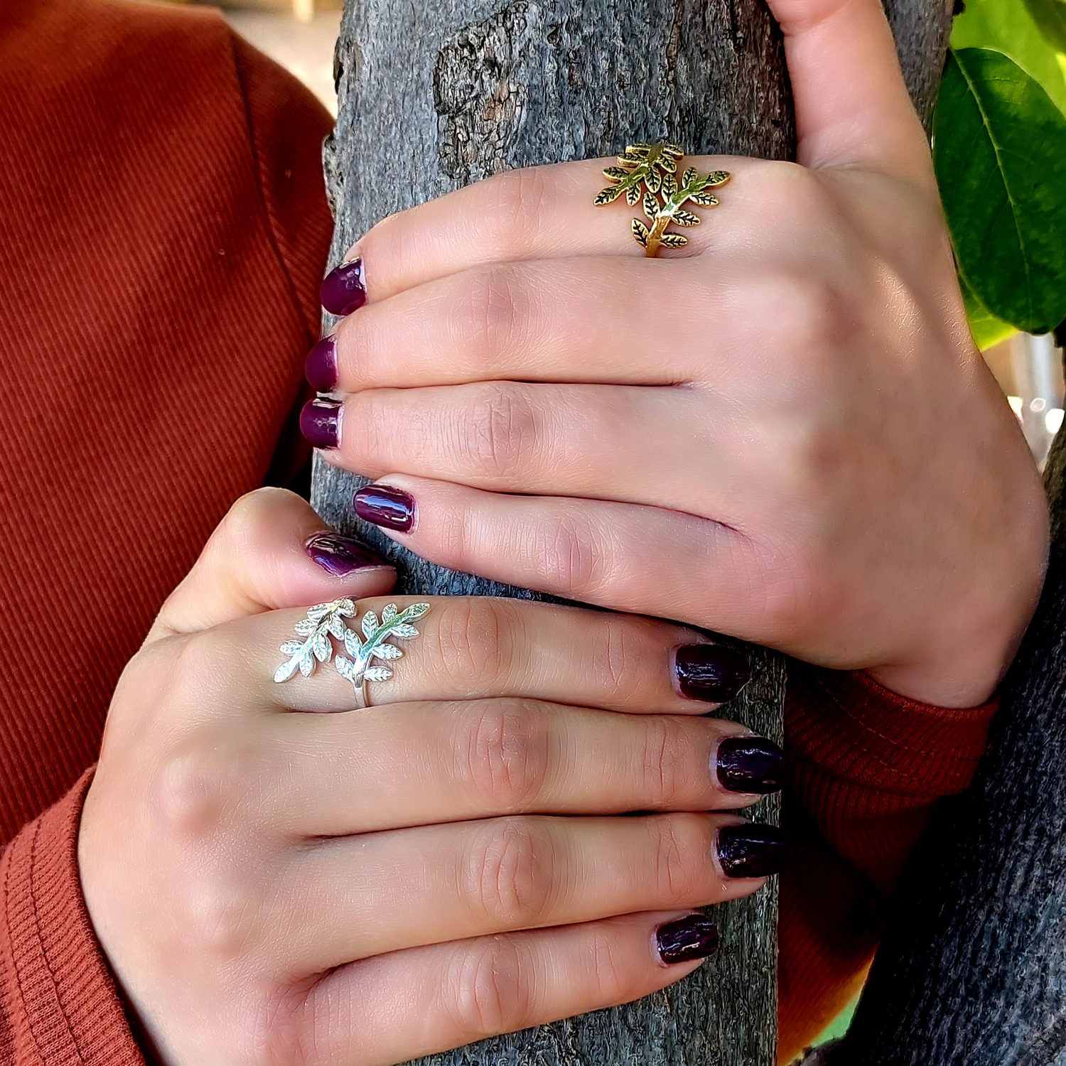 טבעת אפרודיטה נפתחת