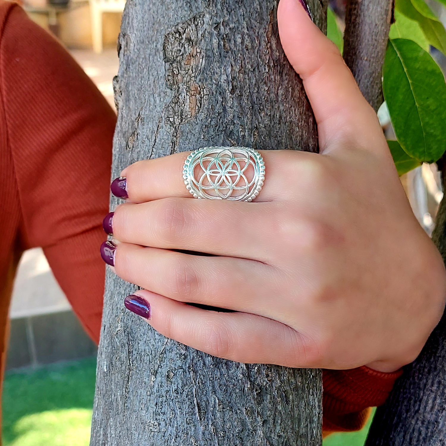 טבעת זרע החיים